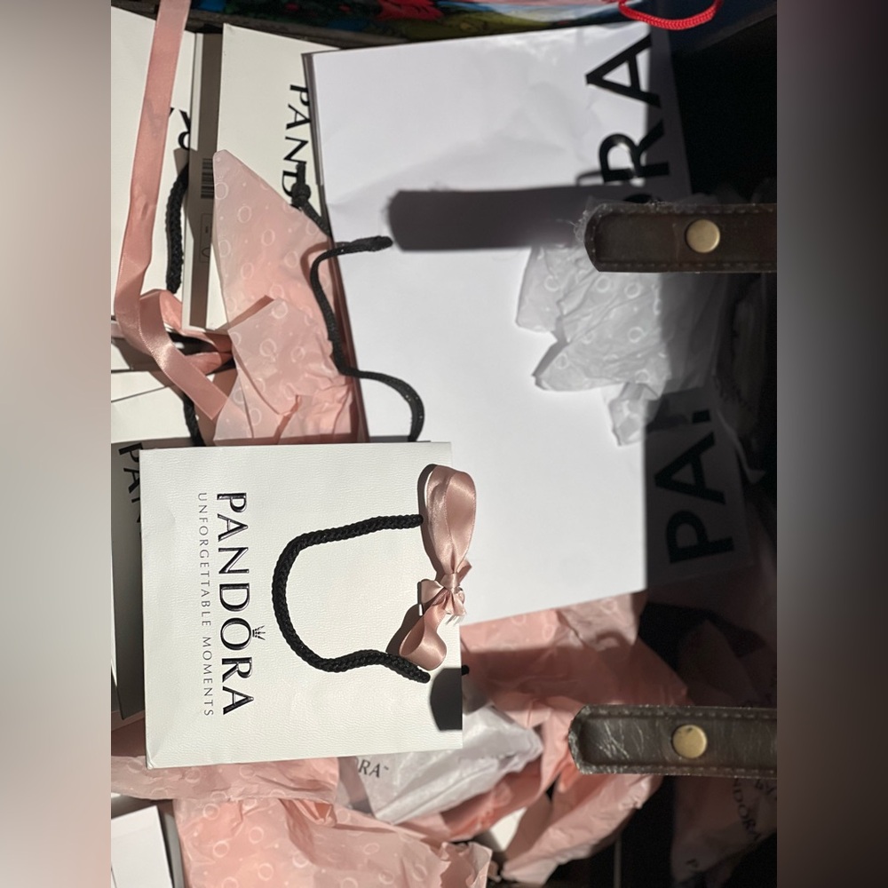 Pandora Gift Bags!!! 2 for $5☀️